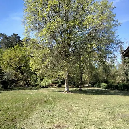 Hébergement de vacances Belle Maison En Bois Au Bord D'un Ruisseau Lévignacq