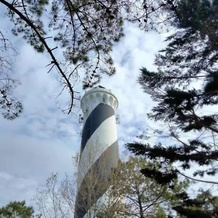 Feriehus Belle Maison En Bois Au Bord D'un Ruisseau *